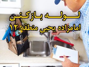 تصویر خدمات لوله بازکنی در امامزاده یحیی منطقه 12