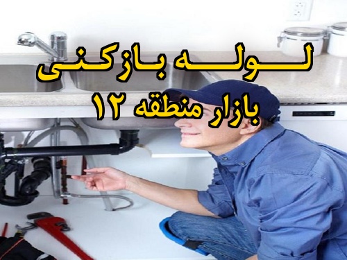 تصویر خدمات لوله بازکنی در بازار منطقه 12