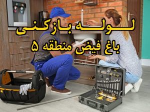 تصویر خدمات لوله بازکنی در باغ فیض منطقه 5