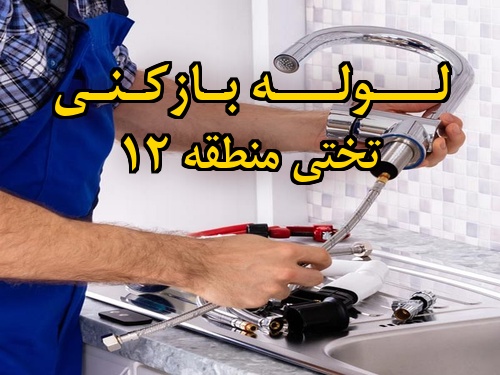 تصویر خدمات لوله بازکنی در تختی منطقه 12