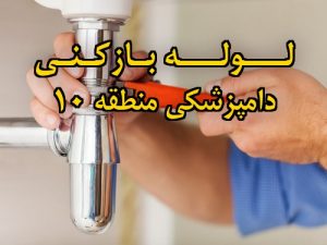 تصویر خدمات لوله بازکنی در دامپزشکی منطقه 10
