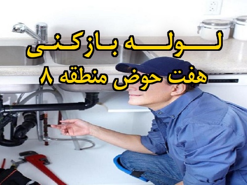تصویر خدمات لوله بازکنی در هفت حوض منطقه 8