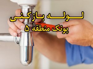 تصویر خدمات لوله بازکنی در پونک منطقه 5