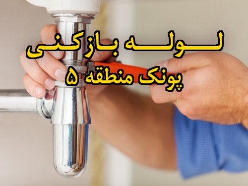 تصویر خدمات لوله بازکنی در پونک منطقه 5