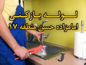 تصویر خدمات لوله بازکنی در امامزاده حسن منطقه 17