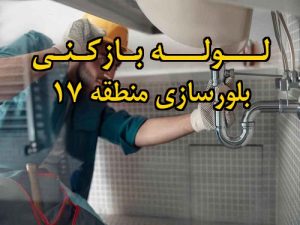 تصویر خدمات لوله بازکنی در بلورسازی منطقه 17