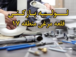 تصویر خدمات لوله بازکنی در قلعه مرغی منطقه 17