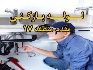 تصویر خدمات لوله بازکنی در مقدم منطقه 17