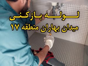 تصویر خدمات لوله بازکنی در میدان بهاران منطقه 17